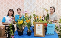 Hội LHPN Khánh Hòa tổ chức nhiều hoạt động chào mừng 95 năm thành lập Hội LHPN Việt Nam