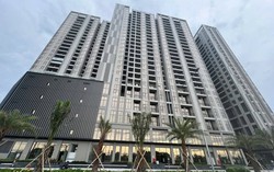 Giá bất động sản "ảo" khiến giấc mơ an cư xa tầm với