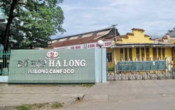 Đồ hộp Hạ Long dừng sản xuất sau vụ thịt lợn nhiễm dịch