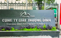 Nữ "đại gia" mua hơn 6 triệu cổ phiếu, nắm quyền chi phối Giầy Thượng Đình