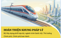 Infographic: Dự án đường sắt tốc độ cao trên trục Bắc - Nam đang triển khai thế nào?