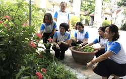 Nội dung "5 không, 3 sạch, 3 an" nằm trong Bộ tiêu chí quốc gia về nông thôn mới giai đoạn 2026 - 2030