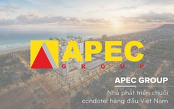 Apec Group bị xử phạt vì "ém" thông tin trái phiếu