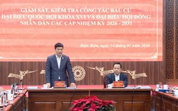 Tạo thuận lợi hoàn thiện hồ sơ cho người ứng cử đại biểu Quốc hội, HĐND