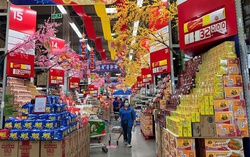 MM Mega Market Việt Nam tăng 30% hàng hóa phục vụ Tết Bính Ngọ, khuyến mãi lớn kéo dài 40 ngày