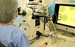 Khởi động dự án mới cải thiện khả năng tiếp cận điều trị vô sinh, hiếm muộn