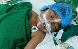 Mẹ nghèo khẩn cầu sự sống cho con gái 8 tuổi đang nguy kịch trong bệnh viện