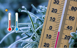 Giải pháp bảo vệ sức khỏe trước "cú sốc nhiệt"