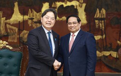 Việt Nam coi trọng và muốn tăng cường hợp tác với Nhật Bản trên các lĩnh vực