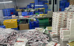 Triệt phá đường dây sản xuất thực phẩm chức năng giả, doanh thu gần 1.800 tỷ đồng