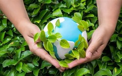 Đưa môi trường thành "trục dẫn dắt" - Bước chuyển chiến lược trong tư duy phát triển