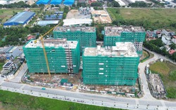 Sẽ xử lý nghiêm các trường hợp môi giới, thao túng hồ sơ mua nhà ở xã hội