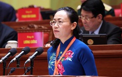 Phát triển kinh tế xanh là "kim chỉ nam" cho đổi mới mô hình tăng trưởng