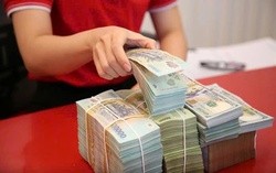 Trường hợp nào không phải đăng ký hộ kinh doanh theo Nghị định 168?