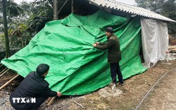 Ảnh hưởng của không khí lạnh mạnh, miền Bắc rét nhất từ đầu mùa Đông