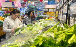 TPHCM: Đẩy nhanh “Tick xanh trách nhiệm" với hàng hóa Tết