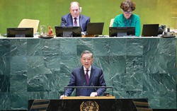 Việt Nam ủng hộ cải tổ thực chất Hội đồng Bảo an Liên hợp quốc