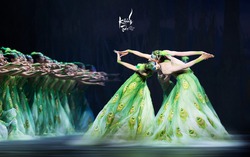 Vũ kịch "Khổng tước" của Dương Lệ Bình lần đầu được trình diễn tại Việt Nam