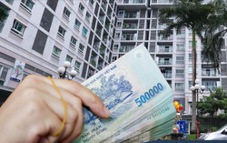 Người trẻ mua nhà trong vòng xoáy lãi suất