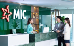 Áp lực bồi thường phình to, lợi nhuận MIG lao dốc