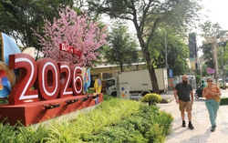 TPHCM trưng dụng 9 khu "đất vàng" bỏ hoang thành công viên, phục vụ dân vui Tết