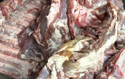 TPHCM: Làm rõ thông tin thịt lợn chuyển màu tại bếp ăn trường tiểu học