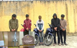 Nhóm thanh, thiếu niên thực hiện trộm tiền công đức tại hàng loạt nhà thờ