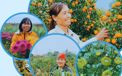 Cùng hội viên, phụ nữ phát triển kinh tế gắn với sản xuất phục vụ Tết