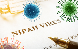 Chuyên gia: Cần cảnh giác với virus Nipah nhưng không nên quá lo lắng