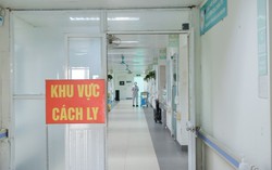Phòng bệnh do virus Nipah: Khuyến cáo không ăn trái cây động vật đã ăn dở