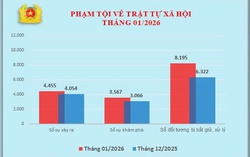 Tội phạm kinh tế, an toàn thực phẩm tăng mạnh trong tháng 1/2026