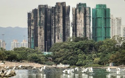 Bê bối cải tạo chung cư ở Hồng Kông: Bắt giữ 21 người tham nhũng