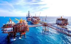 TPHCM thu ngân sách dẫn đầu cả nước, vượt mốc 800.000 tỷ đồng