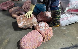 Hà Nội phát hiện kho lạnh trữ 60 tấn lòng lợn không rõ nguồn gốc