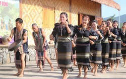 Hội LHPN Lâm Đồng chú trọng công tác phát triển đảng viên nữ trong vùng đồng bào dân tộc thiểu số 