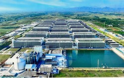 BaF Việt Nam lỗ kỷ lục: Biên lợi nhuận gãy, dòng tiền âm