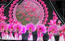 Lễ hội Hoa Đào Xứ Lạng 2026: Điểm hẹn văn hóa - du lịch rực rỡ sắc xuân vùng biên