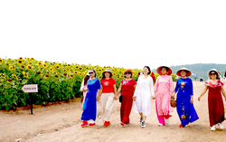 Du khách nô nức check-in đón năm mới ở cánh đồng hoa hướng dương xứ Nghệ