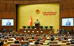 Chủ tịch Quốc hội: Kiến tạo khuôn khổ pháp lý cho đổi mới và phát triển