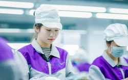 Năm 2025, lao động nữ tăng về "lượng" nhưng còn hạn chế về "chất"