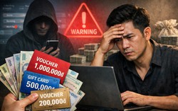 Giả bán voucher giảm giá ô tô, người phụ nữ lĩnh án 13 năm tù