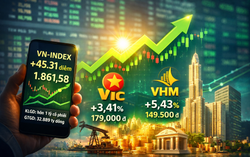 Cổ phiếu ngân hàng - dầu khí - VIC, VHM "thăng hoa", kéo VN-Index lập đỉnh mới