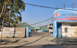 Nhiều siêu thị thu hồi, dừng bán sản phẩm đồ hộp của Công ty đồ hộp Hạ Long