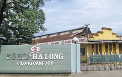 Vụ 120 tấn thịt lợn nhiễm bệnh: Đồ hộp Hạ Long khẳng định 9 người bị bắt không phải nhân sự công ty