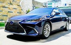 Toyota Việt Nam thu hồi hàng loạt xe do lỗi phần mềm hỗ trợ đỗ xe