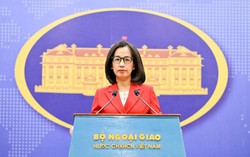 Phản ứng của Việt Nam về việc Trung Quốc mở trung tâm thương mại tại Hoàng Sa