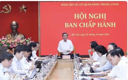 Thường trực Ban Bí thư: Nâng cao chất lượng xây dựng Đảng và đánh giá cán bộ
