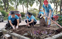 Phụ nữ phường Việt Hưng "hô biến" điểm đen rác thải thành vườn hoa