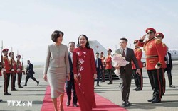 Phó Chủ tịch nước Võ Thị Ánh Xuân hội đàm với Thủ tướng Gruzia