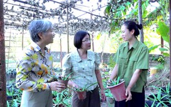 Quảng Ninh: Hỗ trợ phụ nữ khởi nghiệp từ nhu cầu thực tế